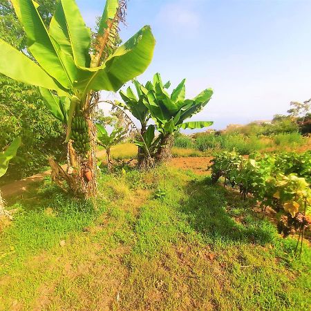 Casa En Finca Ecologica - Wifi La Orotava Bagian luar foto