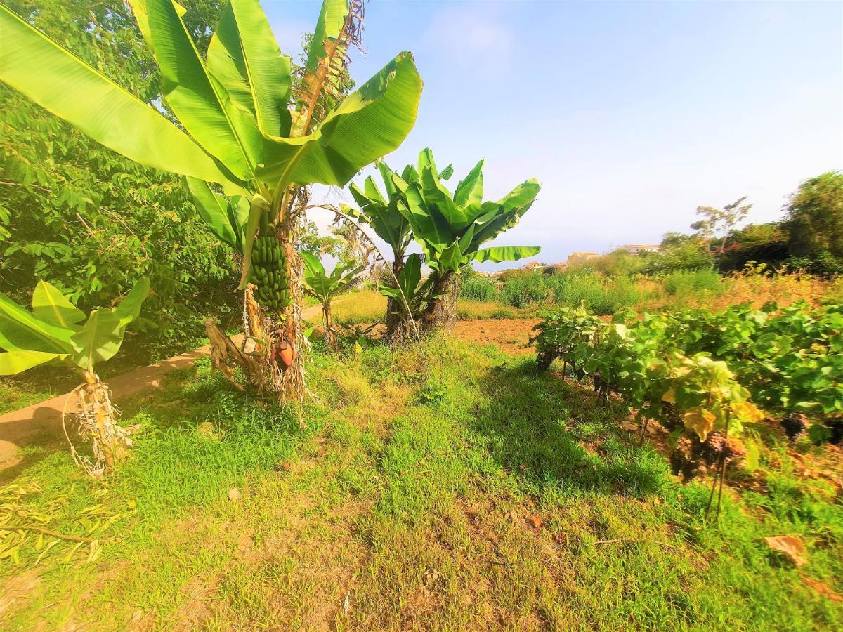 Casa En Finca Ecologica - Wifi La Orotava Bagian luar foto