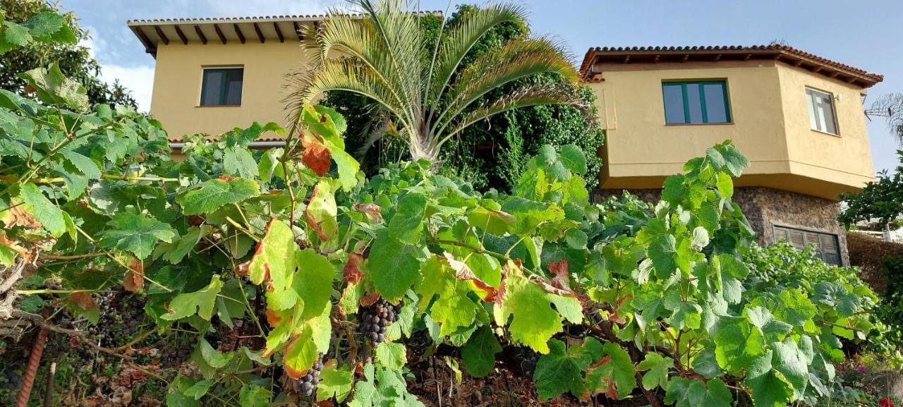 Casa En Finca Ecologica - Wifi La Orotava Bagian luar foto